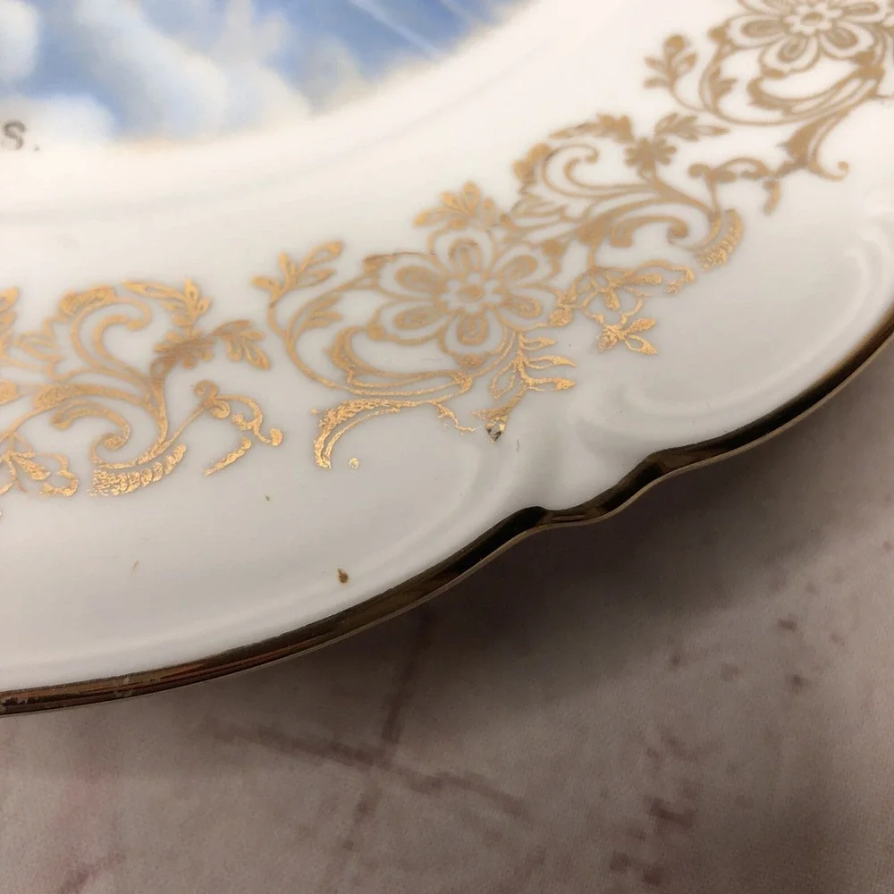 Vintage Niagara Falls NY Prospect Point Souvenir Plate Western‎ Germany 10